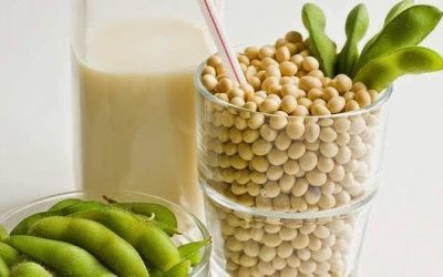 Soy: The Good, the Questions, and the Wonderful